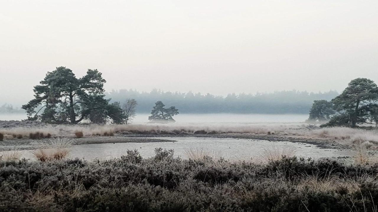 Bed and Breakfast Bed & Breakfast De Heughte Oosterwolde  Экстерьер фото